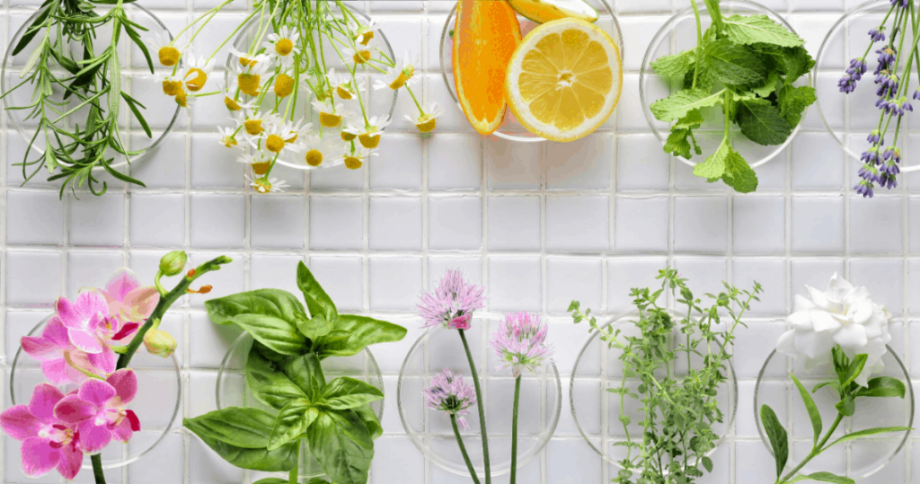 Personal planets herbs
