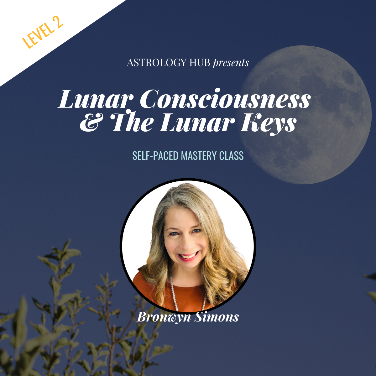 Lunar Consciousness & The Lunar Keys Bronwyn Simons Astrology Hub