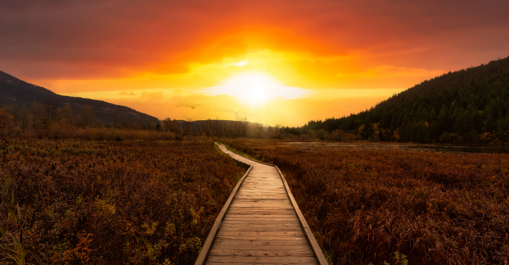 Cosmic Insider Sunrise