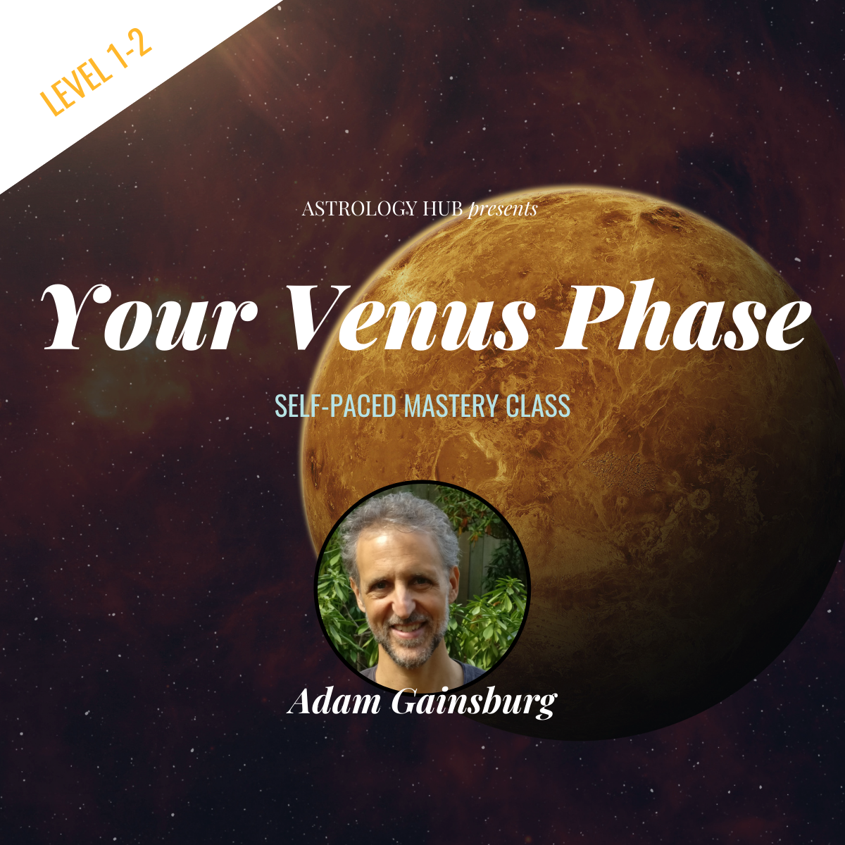 Your Venus Phase w Adam Gainsburg