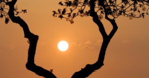 weekly astrology forecast September 18th through 24th 2023