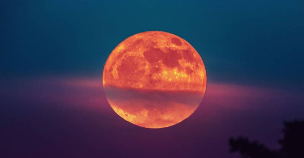 Leo Full Moons Lesson in Love 🌕