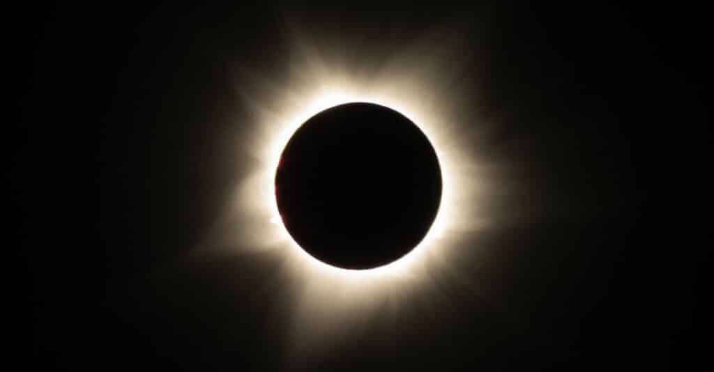 Virgo Full Moon Eclipse