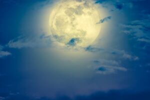 🌕 The growing edge of truth and love under this Full Moon